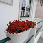Rossio 호스텔 알코바카