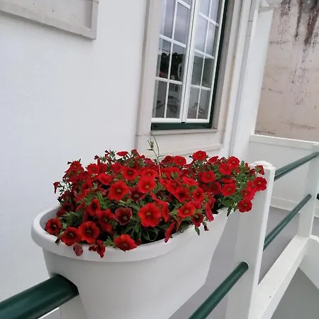Rossio Хостел Алкобаса