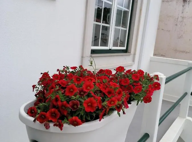 Rossio Vandrerhjem Alcobaça